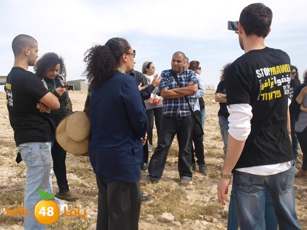 arddaynaqav331 (4).jpg